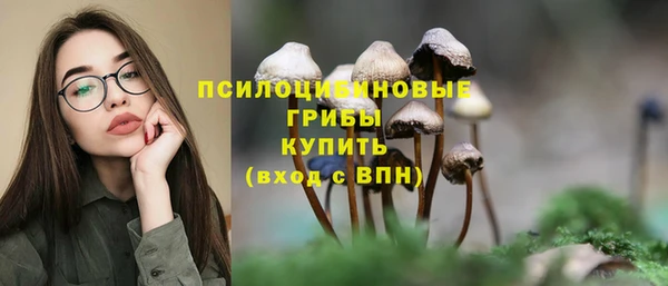 apvp Сафоново