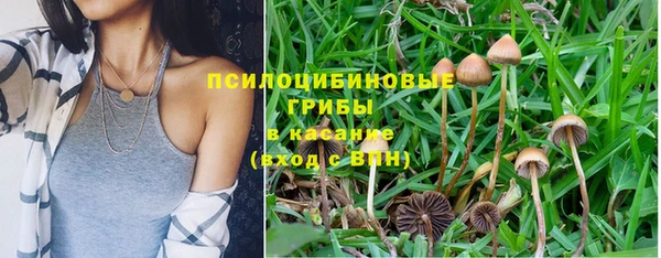 дживик Белоозёрский
