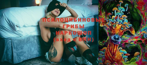 дживик Белоозёрский