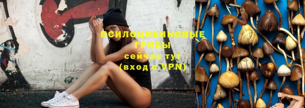 spice Сатка