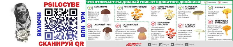 Галлюциногенные грибы MAGIC MUSHROOMS  KRAKEN как войти  Дагестанские Огни 